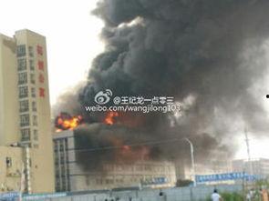 藏龙岛今日爆料,神秘事件揭开神秘面纱